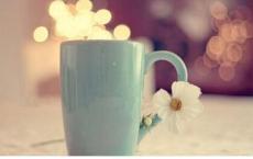 建队日活动方案