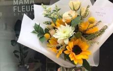 二年级学生评语