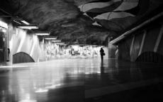 辅导员工作计划