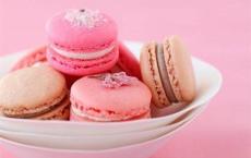 高中语文教学计划