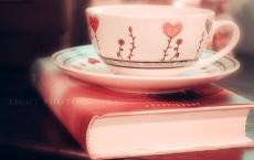 中秋活动策划方案