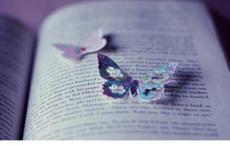 高三历史教学计划