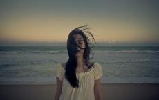 高二政治教学计划