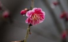 营业员的座右铭