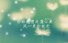 我的读书名言|我最喜欢的一本书