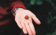 中学生评语大全简短