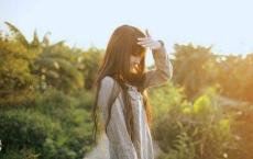 那金花和她的女婿经典台词