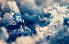 灰尘的自述