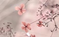 空间域名代理公司口号