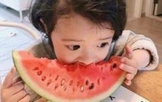 校园访友作文