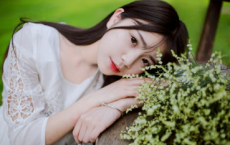 九衢一日消息定，乡吏籍中重改姓全诗的意思_上句下句