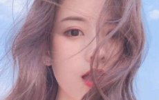 契阔谈宴，心念旧恩全诗的意思_上句下句