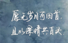 几岁开花闻喷雪，何人摘实见垂珠全诗的意思_上句下句