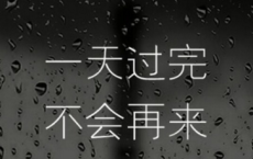 猿攀树立啼何苦，雁点湖飞渡亦难全诗的意思_上句下句