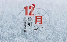 水山蹇卦_易经全诗的意思_上句下句