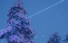 紫陌红尘拂面来，无人不道看花回全诗的意思_上句下句