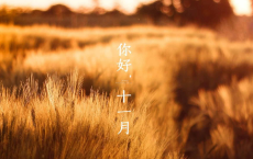 今日岭猿兼越鸟，可怜同听不知愁全诗的意思_上句下句