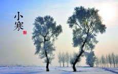 陈希夷四辞朝命_喻世明言全诗的意思_上句下句