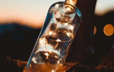 矩步引领，俯仰廊庙。束带矜庄，徘徊瞻眺全诗的意思_上句下句