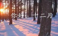 雷天大壮卦_易经大壮卦全诗的意思_上句下句