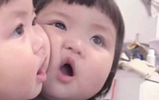 譬如朝露，去日苦多全诗的意思_上句下句