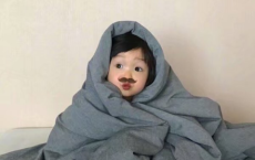 感君恩重许君命，泰山一掷轻鸿毛全诗的意思_上句下句