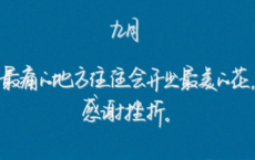 公冶长第五翻译赏析_公冶长第五阅读答案_论语全诗的意思_上句下句