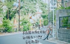 尝读远公传，永怀尘外踪全诗的意思_上句下句