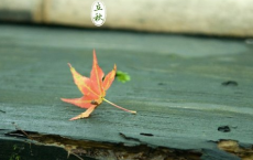 弟子职第五十九_管子全诗的意思_上句下句