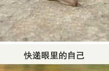 离愁渐远渐无穷，迢迢不断如春水全诗的意思_上句下句