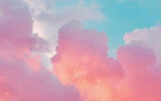 满地黄花堆积，憔悴损，如今有谁堪摘全诗的意思_上句下句