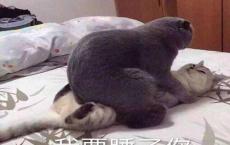 除夕之夜
