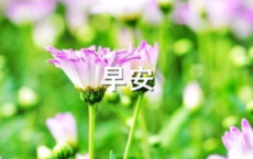 咖啡广告短语