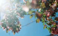 短篇公主故事