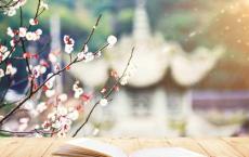 公司大门喜庆对联：祝公司发展顺利，前景光明的对联
