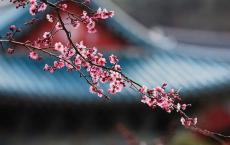 职场沟通名人名言大全