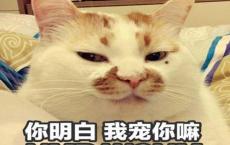 长征小故事