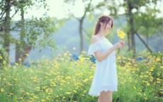 医院服务明星评选之服务格言集锦