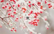 珠宝品牌宣传标语