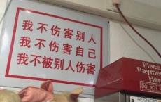 五个网友偷偷告诉我的灵异故事！