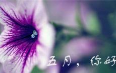 什么是希望 - 诗歌