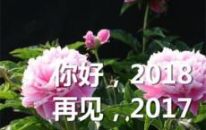 奋斗米莱经典台词