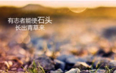 义丐——趴子