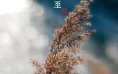 梁启超集句联对联大全