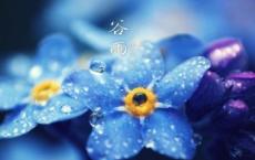 电影《何以笙箫默》经典台词语录