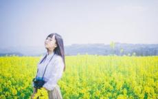 研学旅游宣传口号