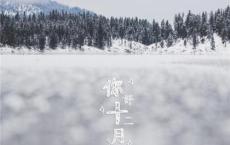 税收微语录