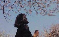 你见过这样报仇的吗？