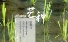 乡村主题品牌口号