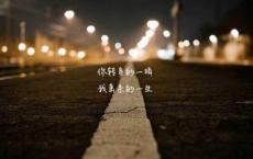枣核
